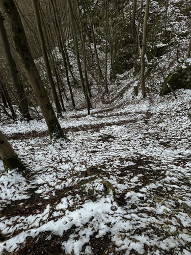 Hohenwittlingensteig (Premiumwanderweg)
