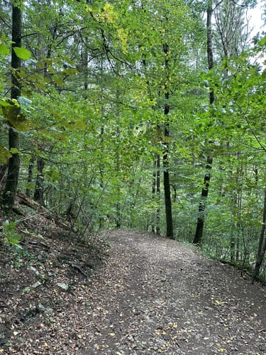 Neckartäler Hangweg