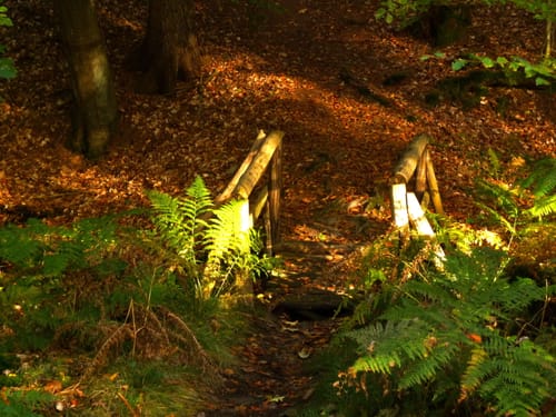 Rundweg Hütter Klosterteiche