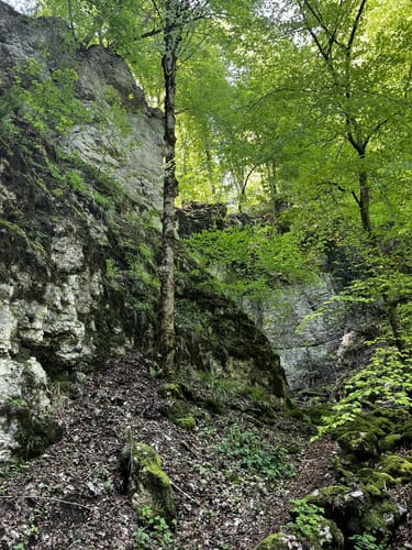 Zum Schloss Lichtenstein und der Ruine
