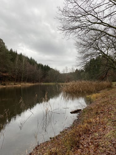 7-Weiher-Tour