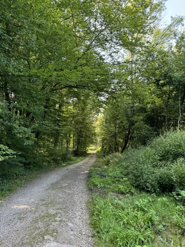 Durch den Talebuckel