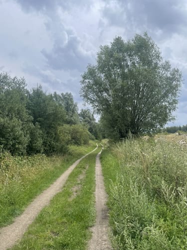 Mechower und Lankower See