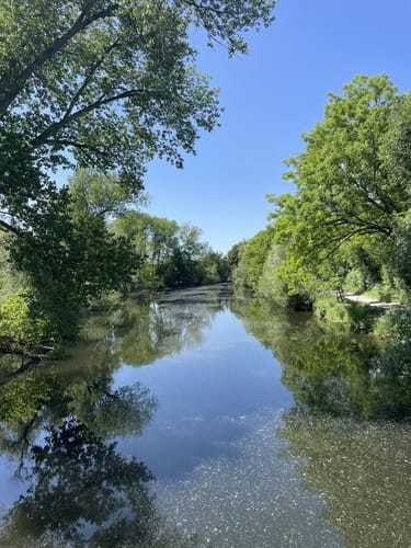 Laatzen - NSG Alte Leine - Maschsee