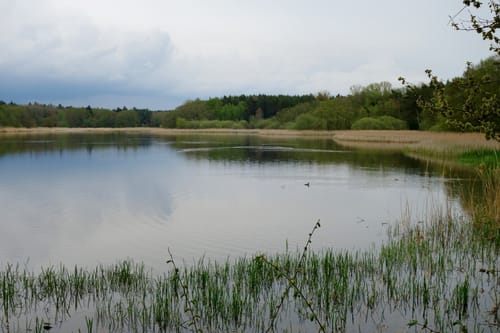 Fränkisches Seenland: Gräfensteinberg - Brombach