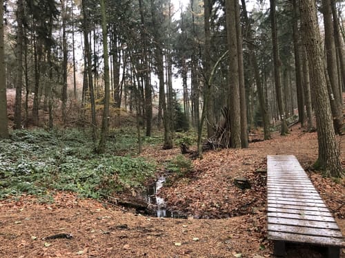 Meller Berge: Diedrichsburg und Ottoshöhe