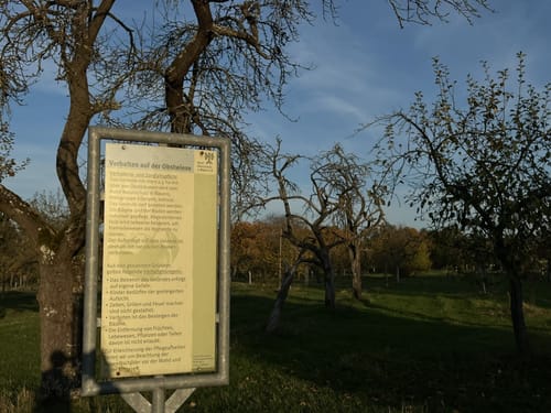 Auf dem Bubenreuther Hochwasserweg
