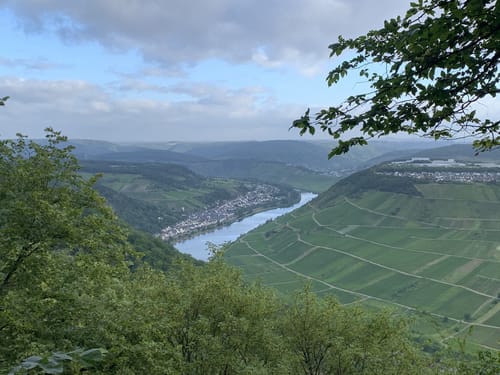 Briedeler Schweiz (Premiumwanderweg)