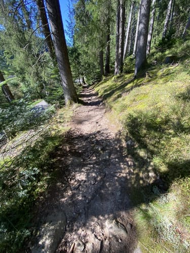 Waldpfad Groppertal (Premiumwanderweg)