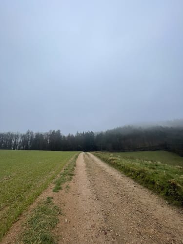 Rundwanderweg Altenbach 2: Ursenbach-Weg