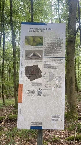 Rhönrundweg Hammelburg 5
