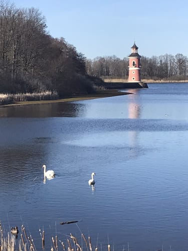Um den Moritzburger Großteich