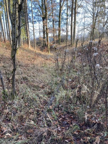 Von Crailsheim zur Burg Onolzheim