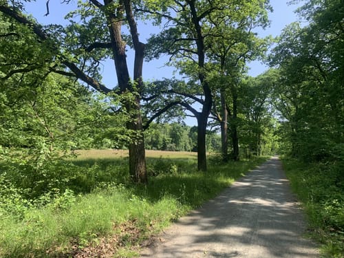 Darmstadter Wildpark-Weg