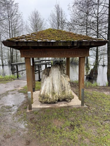 Um den Vörder See