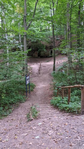 Über Hardelsberg und  Spechtsberg zur Huysburg