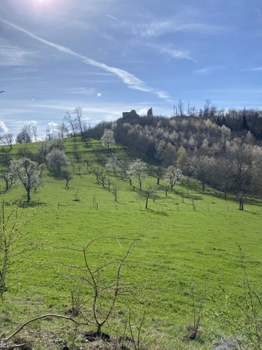 Von St. Georgen zur Schneeburg