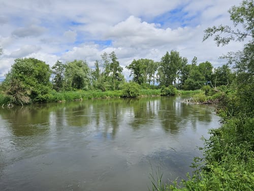 Amper zwischen Moosburg und Inkofen
