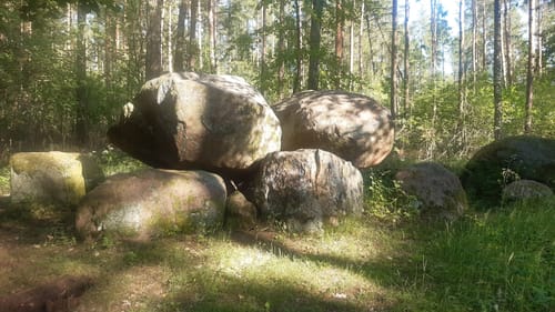Sparow Runde zum Drewitzer See
