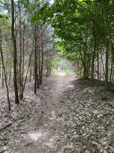 Rundweg um Helene- und Katjasee