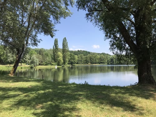 Steinertsee Rundwanderung