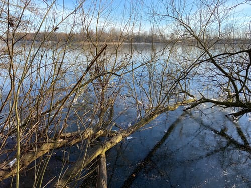 See im Großen Moor und Pulvermühlenteich ab Meckelfeld