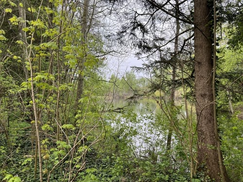 Kleine Runde um den Böhmerweiher
