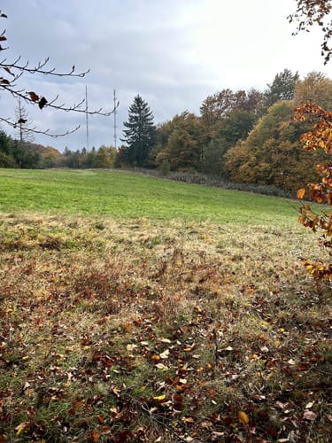Hoher Meißner P1 (Premiumwanderweg)
