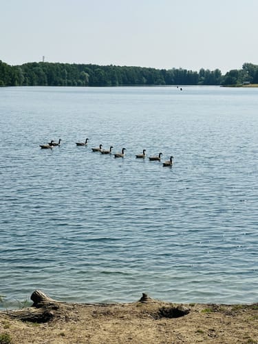 Kaarster See Rundweg