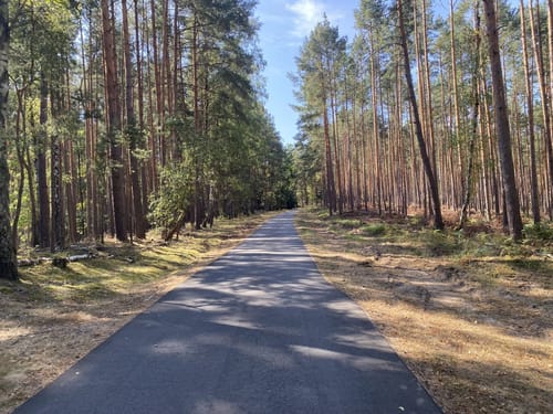 Ostsee - Oberbayern: D-Route 11 (Radfernweg)