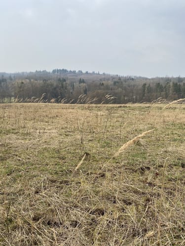 MTB-Rundkurs von Ebsdorf - Höingen