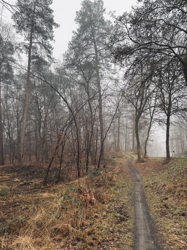 Von der Wahner Heide zum Hirschpark