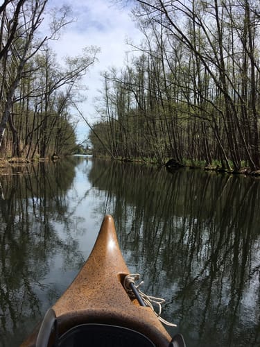 Paddelroute: Wurlsee, Nesselpfuhl, Oberpfuhl