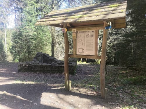 Römerwald (Premiumspazierwanderweg)