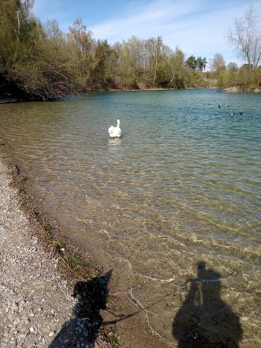Kleine Auwaldwanderung