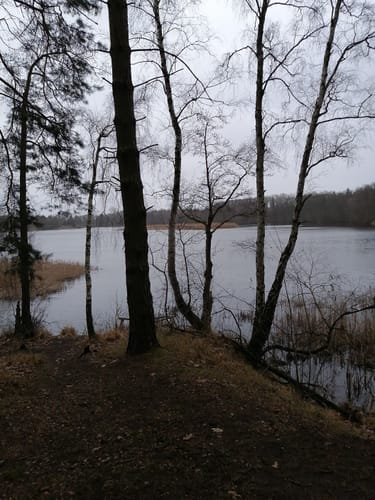 Rund um das Naturschutzgebiet Bagower Bruch