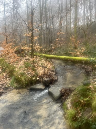 Weltersbachtal Rundweg A2