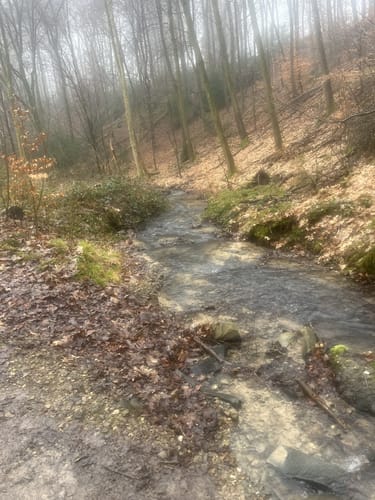 Weltersbachtal Rundweg A2