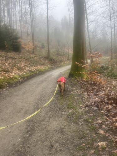 Weltersbachtal Rundweg A2