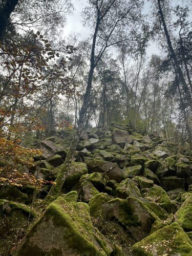 Rund um den Leuchtenberg