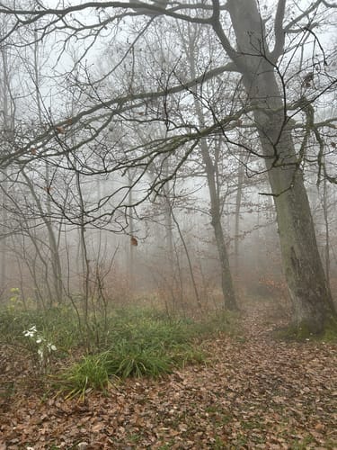 Dreibergerunde Kernen - Kappelberg - Württemberg