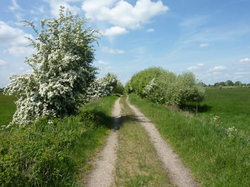 Radrundtour: von Geesthacht zum Junkernfeld