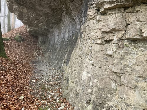 Einhornhöhle - Großer Knollen