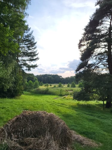 Klobichsee - Rundweg