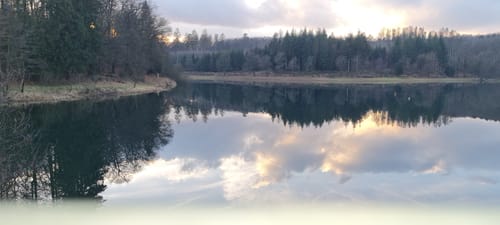 Zwischen Wupper und Panzertalsperre