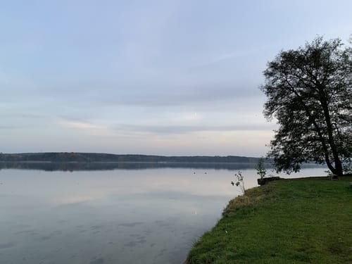 Uferwanderweg Bad Saarow nach Wendisch Rietz