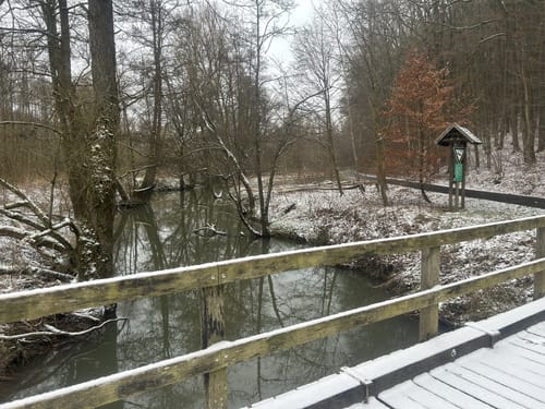Petersberg 7