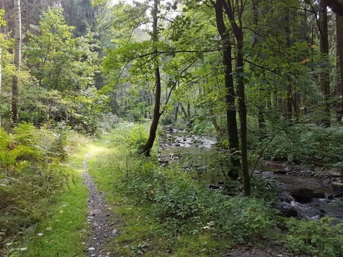 Rundweg Bergmännel