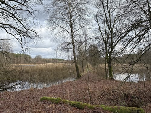 Südheide 'Reine Luft zu sehen' W18k (kurze Tour)