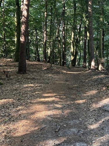 Auf den Hasselbrack